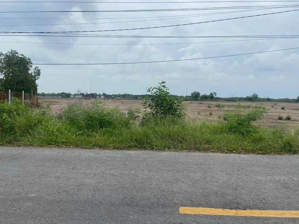 Bán đất mặt tiền HL40 Bến Tre vị trí đắc địa, hạ tầng hoàn thiện