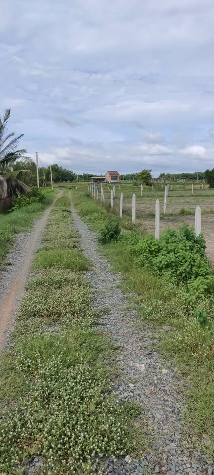 Đất view Núi Bà, tách sổ riêng, bán gấp kẻo hết