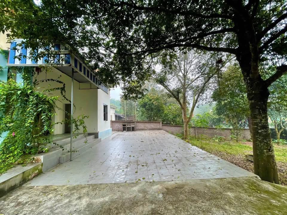 Mảnh đất mơ ước tại Lương Sơn, Hòa Bình, chỉ cách Hà Nội 40km