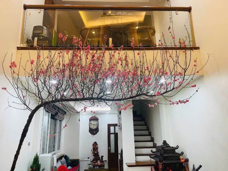 Nhà Mỹ Đình 38m2, 6 tầng, lô góc ô tô đỗ cửa, kinh doanh vô tư