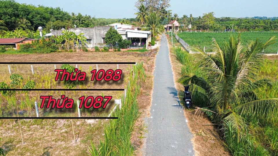 Mảnh đất thổ cư vuông vắn với chiều ngang 7m và chiều sâu 77m