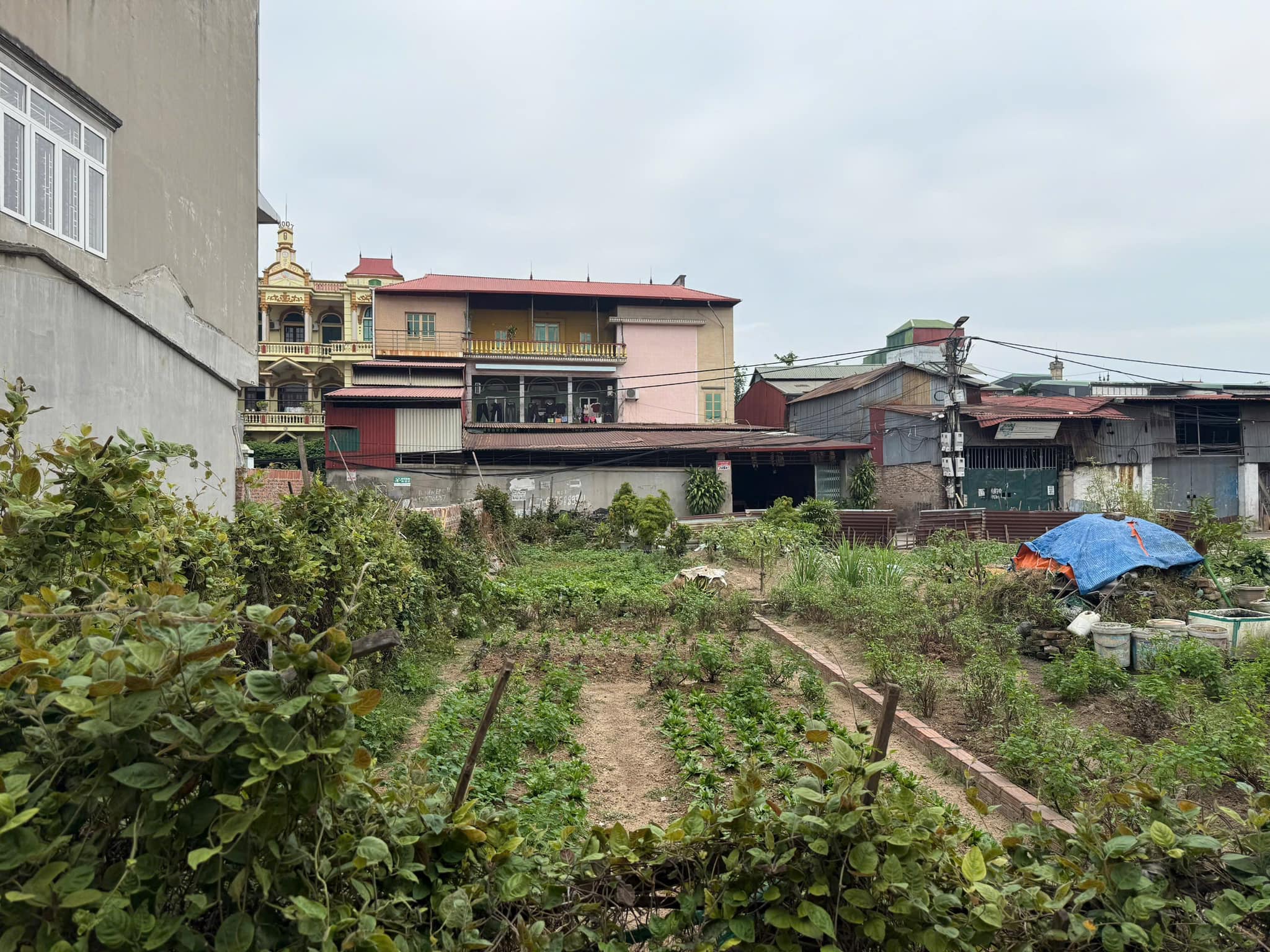 Đất Kim Thiều vuông vắn, thoáng đãng, giá hơn tỷ, sổ đỏ chờ bạn