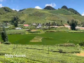 Bán đất Vân Hồ 3502m² có 400m² thổ cư, view rừng thông cực đẹp