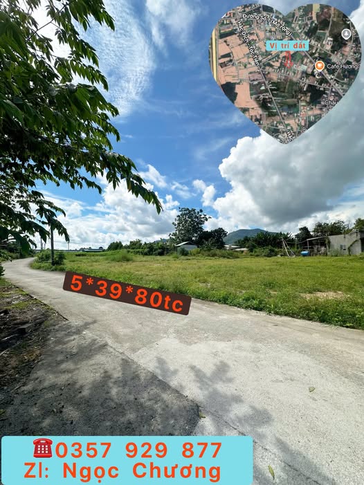 Đất vàng Hắc Dịch, Tóc Tiên 80m² sổ riêng, mặt tiền 5m, hậu 7m, giá chỉ 980 triệu