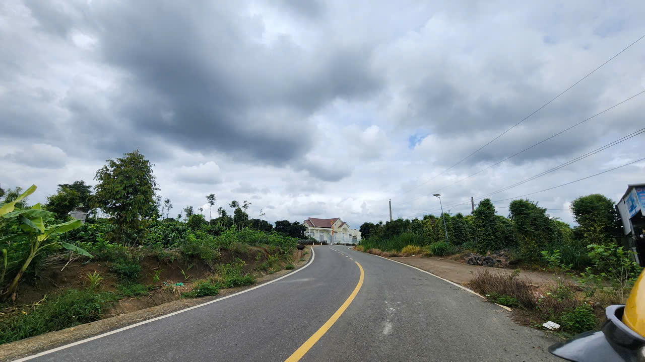 Đất đẹp Đinh Văn vườn cà phê sinh lời, sổ riêng sang tên