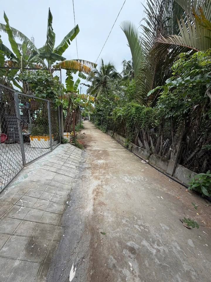 Bán đất nền Phú Khương, Bến Tre - 110m2, có thổ cư