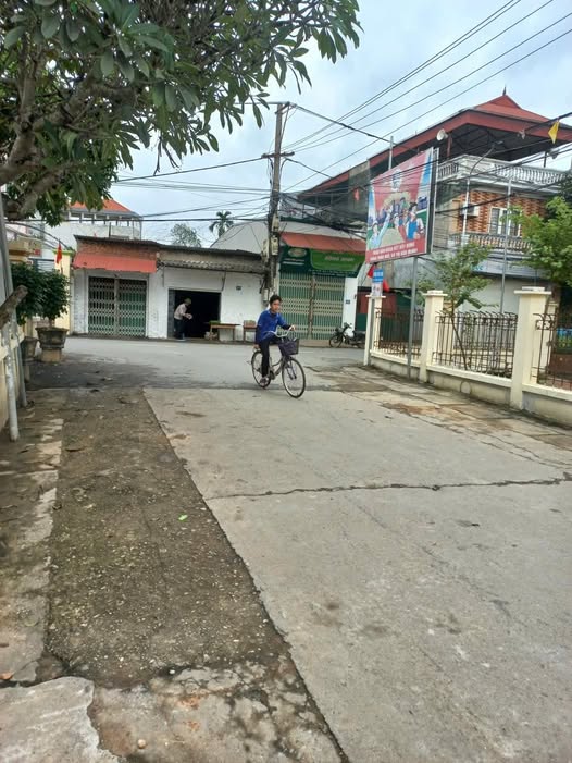 Mảnh đất vàng 110m2 tại Phúc Thọ, Hà Nội, cơ hội đầu tư sinh lời