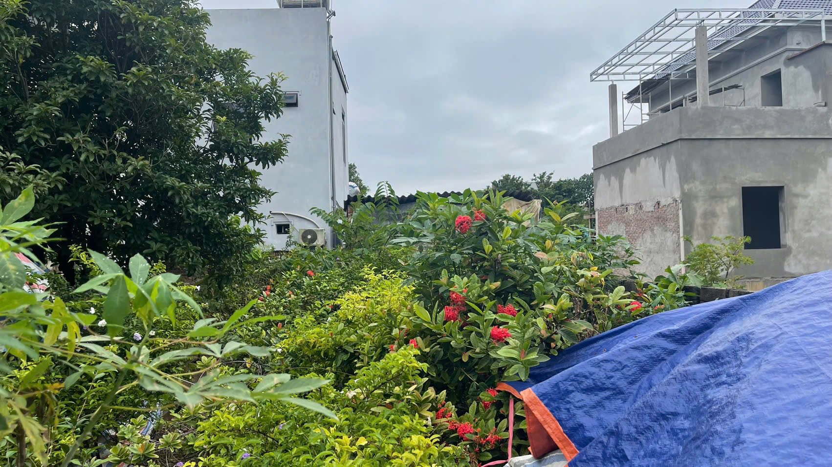 Đất vàng Lương Sơn 99m2 giá hời, ô tô đỗ cửa, chỉ 25 phút đến BigC