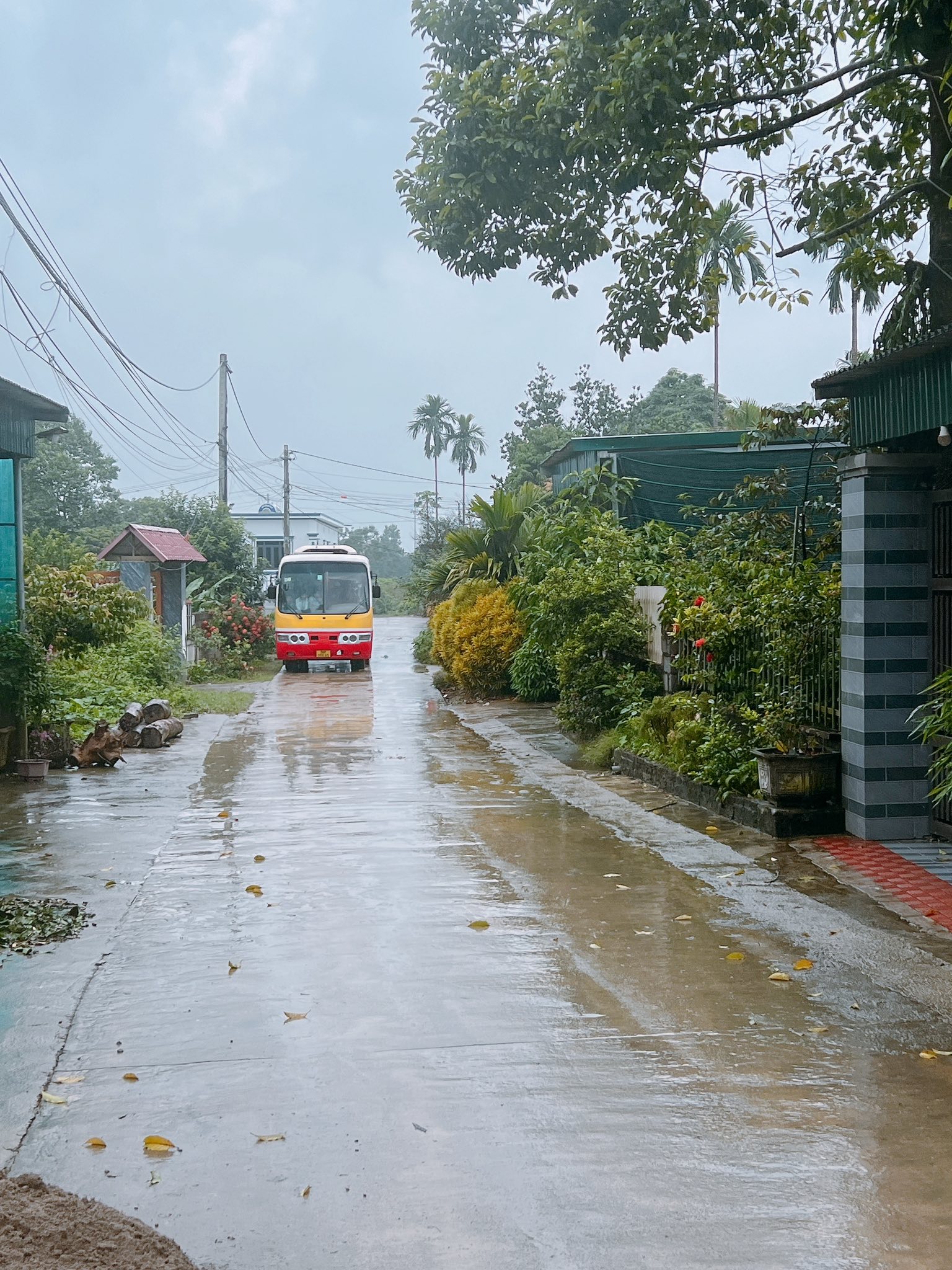 Mở ra cơ hội đầu tư sinh lời vượt trội với lô đất F0 siêu tiềm năng tại Phú Thành