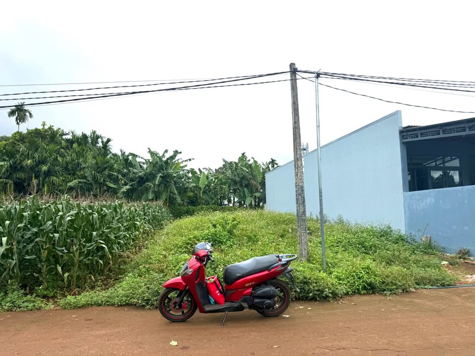 Đất Tân An xịn xò, 5m x 25m, 1,18 tỷ, ô tô né nhau