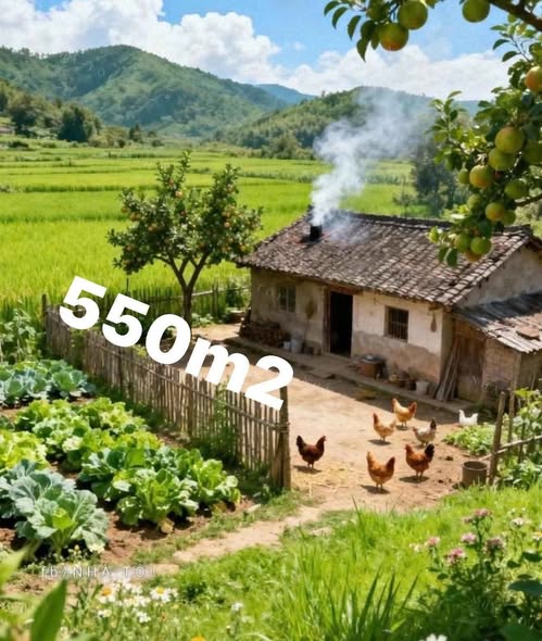 Đất Ba Vì view suối, bám đường 27m, sổ đỏ sẵn sàng, chỉ hơn 1 tỷ