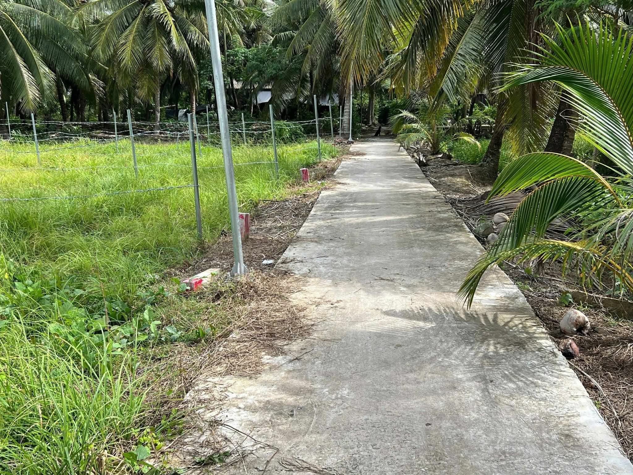 Đất xịn sò, sổ hồng sẵn, giá iu thương chỉ 260 triệu