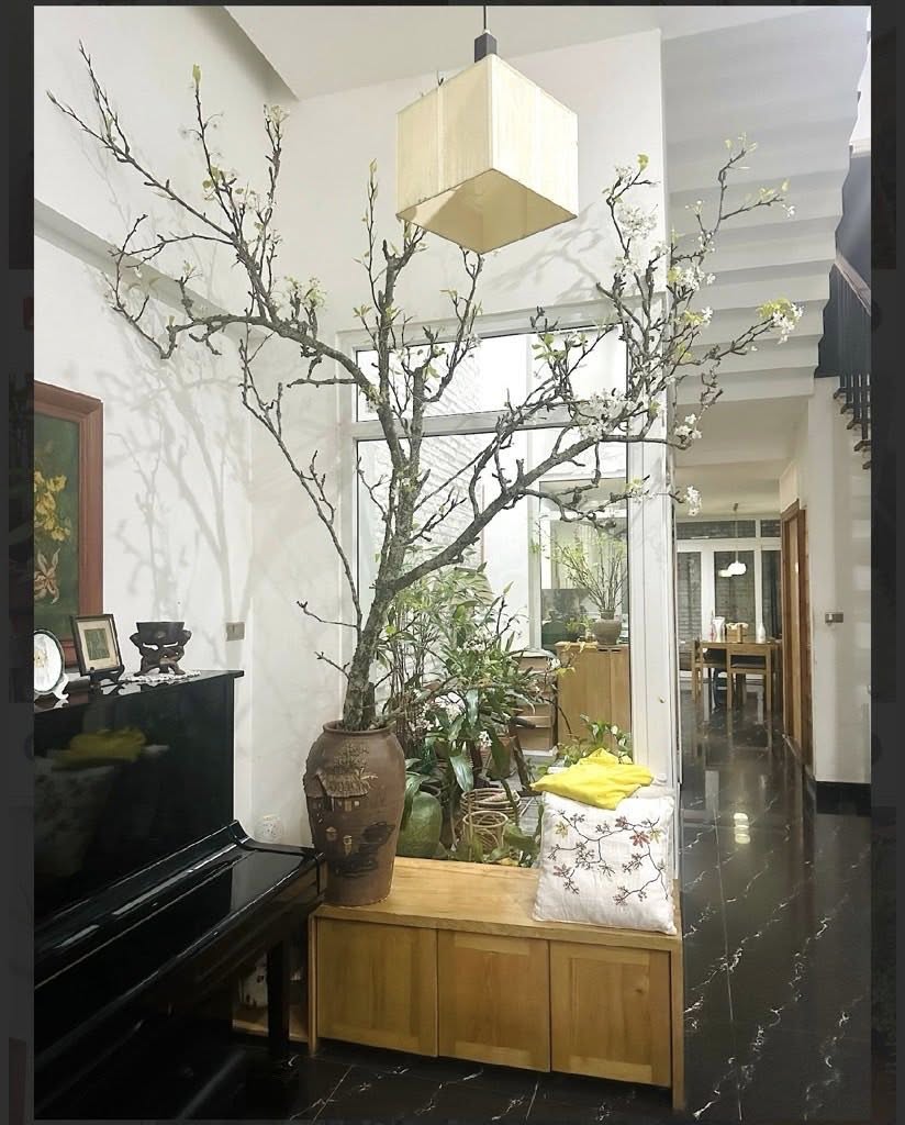 Nhà phố Nguyễn Khánh Toàn sân vườn, sổ vuông vắn