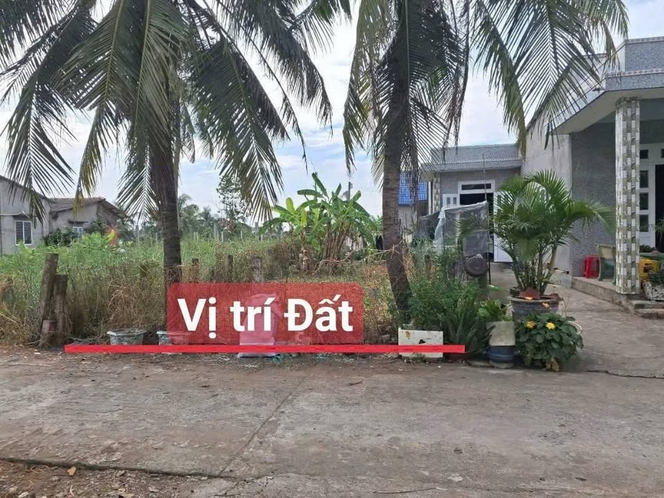 Bán đất thổ cư Long An - Nền cao, dân cư đông đúc, sổ hồng sẵn sàng