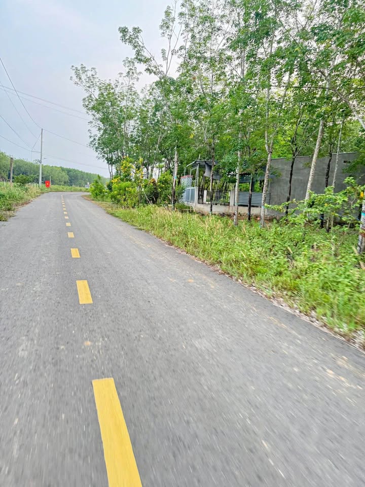 Đất nở hậu 2.2 sào, 100m2 thổ cư, đường nhựa đẹp tại Đồng Xoài, Bình Phước