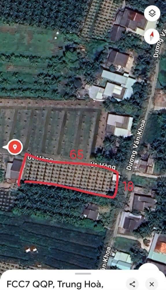 Đất vườn Đồng Tháp giá rẻ, 300m2 đất vườn 981m2 lúa, 2 mặt tiền, chỉ 1,4 tỷ