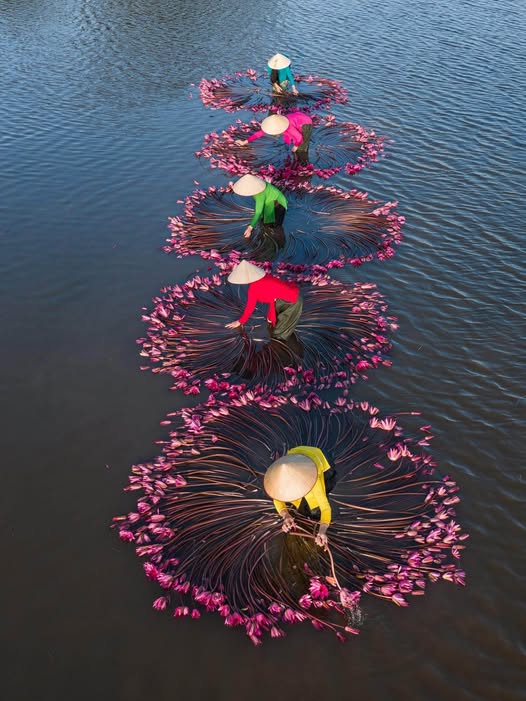 Mảnh đất vàng Ấp 5, Tóc Tiên nơi an cư lý tưởng