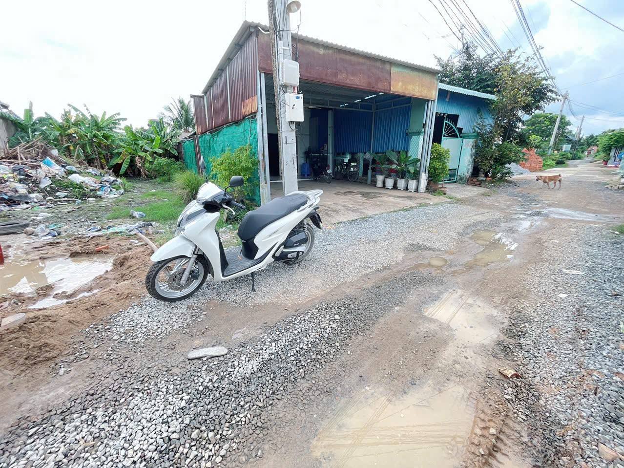 Đất vàng Bình Tiền, đường thông, xe tải đậu, sổ hồng trao tay