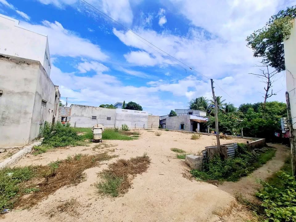 Đất Ninh Thuận 389.5m² vuông vắn, xây biệt thự vườn vi vu, giá chỉ 4.5 tỷ