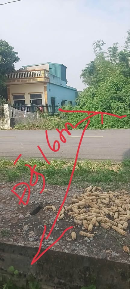 Bán đất 4.35x25m, đường 16m tại Tam Điệp, Ninh Bình