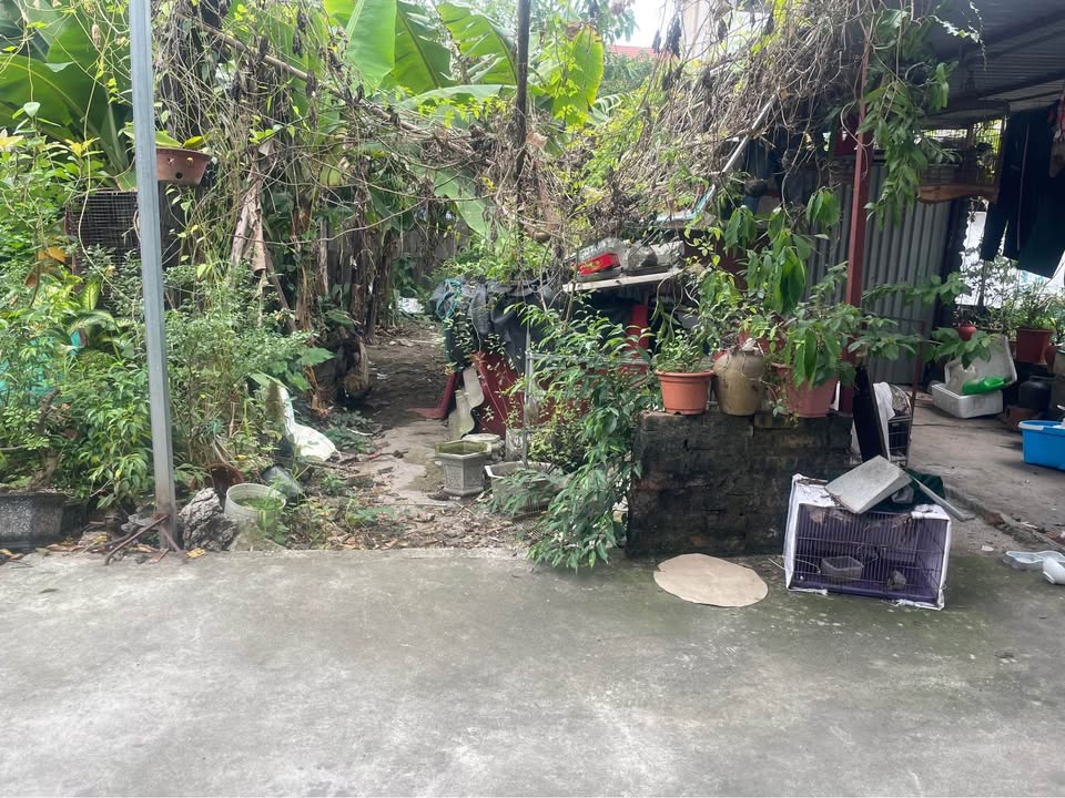 Bán đất Cổ Dương, Đông Anh, Hà Nội - 61.1m², mặt tiền 4m, ô tô vào tận cửa