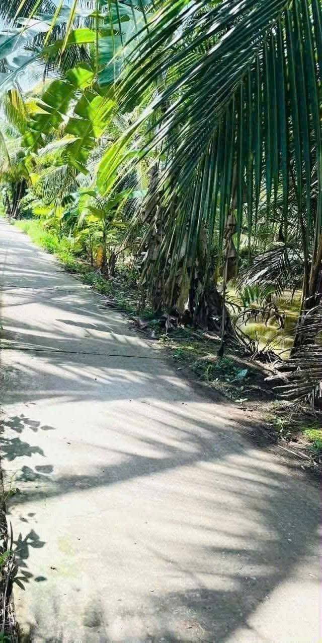 Siêu phẩm đất vườn Thạnh Trị, Bến Tre đã chính thức lên sàn