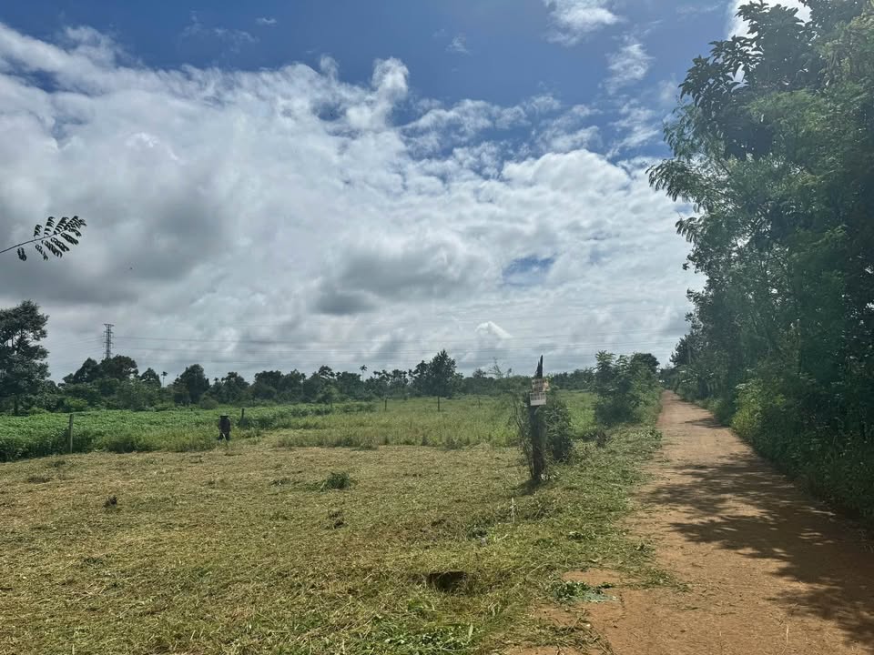 Đất xịn 495 củ, hẻm cấp 1 Quốc Lộ 14, đầu tư bao lời