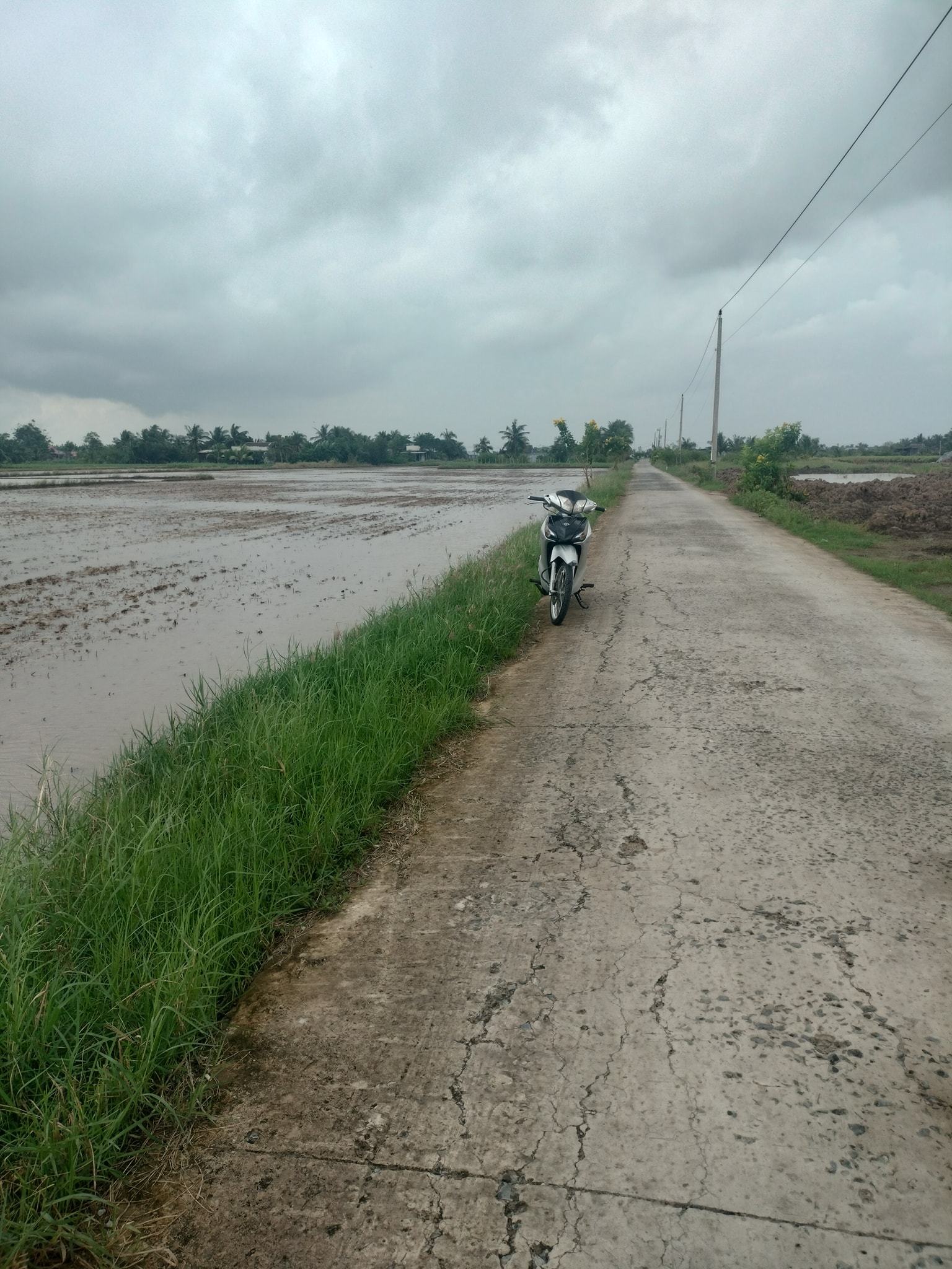 Đất vàng Gò Công Đông, kề biển Tân Thành, giá hời chỉ 260 triệu