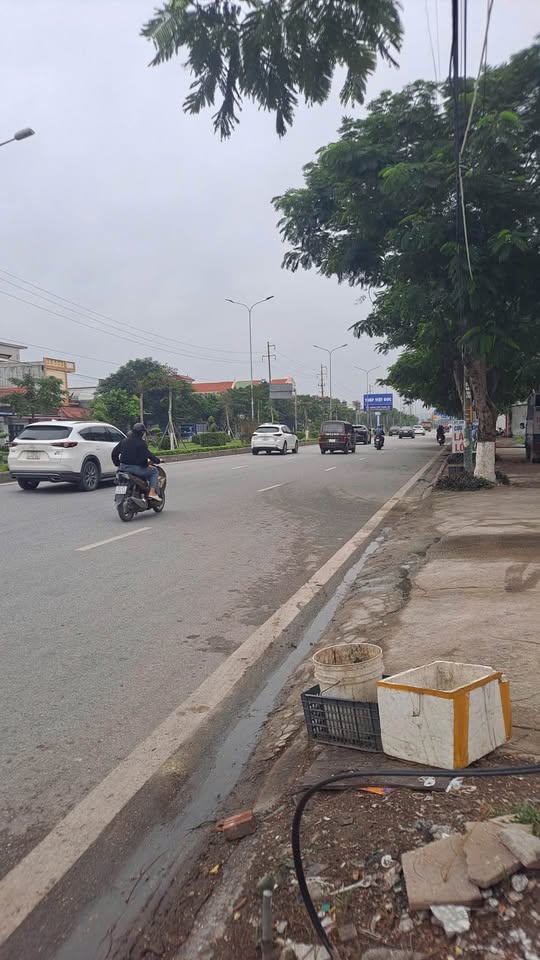 Đất vàng mặt đường 353, Đồ Sơn kinh doanh sầm uất, tiềm năng sinh lời