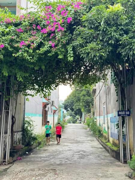 Mảnh đất tọa lạc tại ngõ đường Sơn Hà, xã Ngọc Đường, tỉnh Hà Giang