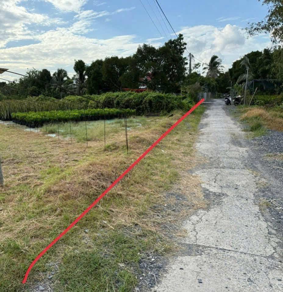 Chào mừng quý khách đến với mảnh đất mơ ước tại Long Thới, Chợ Lách, Bến Tre