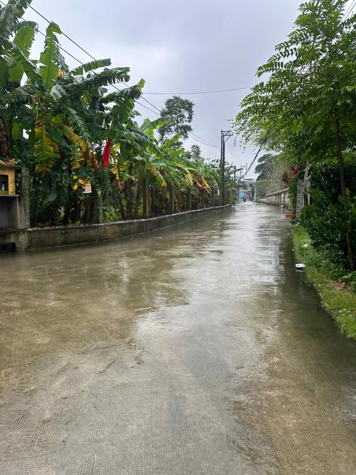 Đất Huế 100m2 full thổ cư, ô tô vivu, giá nhỉnh 1,5 tỷ, sổ đỏ sẵn sàng