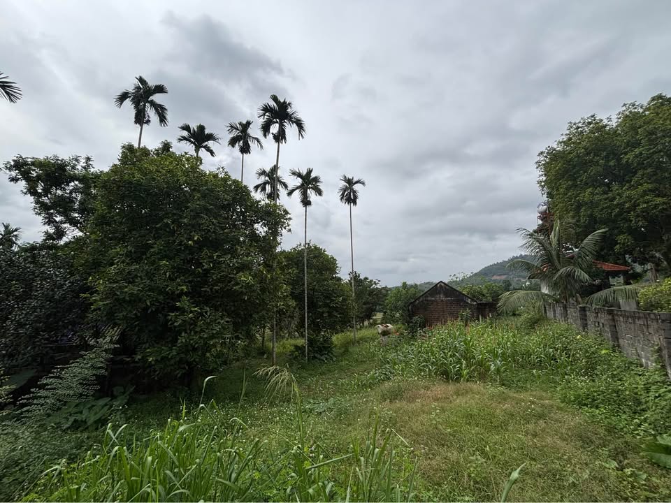 Đất vàng Lương Sơn 6800m² view đồng, sổ đỏ chính chủ, cơ hội đầu tư sinh lời