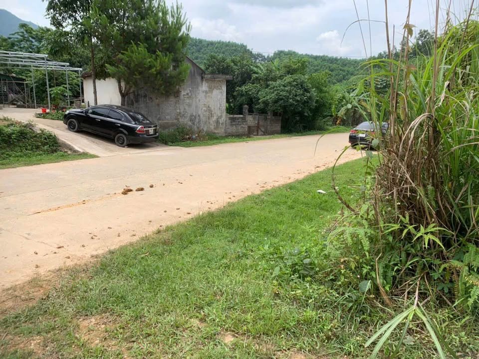 Đất Quốc lộ Tiên Yên 5575m2, giá hời như cho, chị Minh cần tiền bán gấp