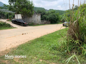 Đất Quốc lộ Tiên Yên 5575m2, giá hời như cho, chị Minh cần tiền bán gấp