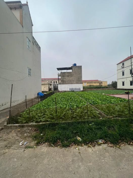 Bán đất 56,3m² tại xã Chương Dương, Thường Tín, Hà Nội, ô tô đỗ cửa, tiện ích đầy đủ