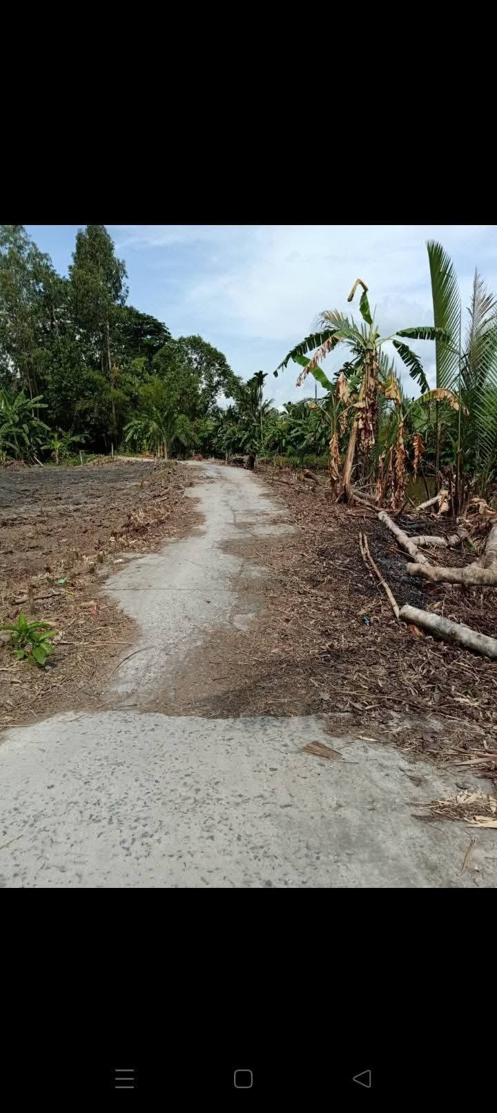 Bán đất thổ cư 65m2, sổ hồng riêng, đường ô tô vào tới, Phường Đại Thành, Ngã Bảy, Hậu Giang