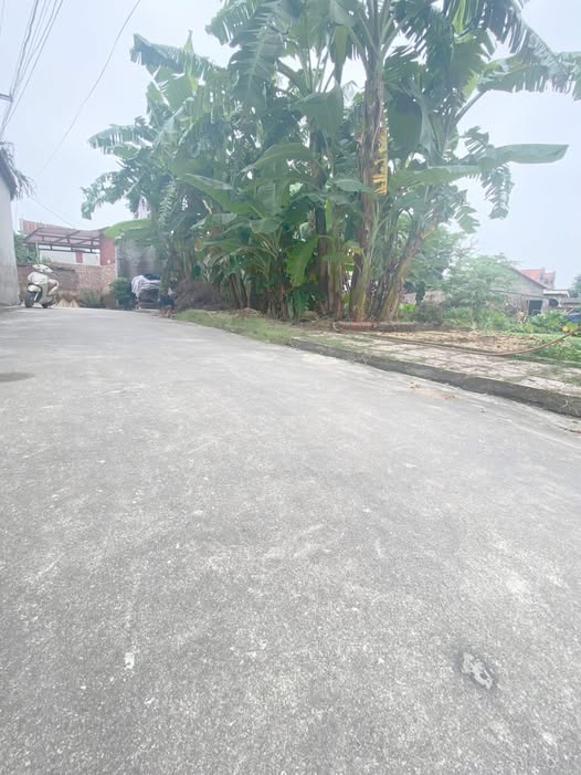 Chào mừng quý khách đến với cơ hội sở hữu mảnh đất vàng tại Lãng Sơn, Yên Dũng, Bắc Giang