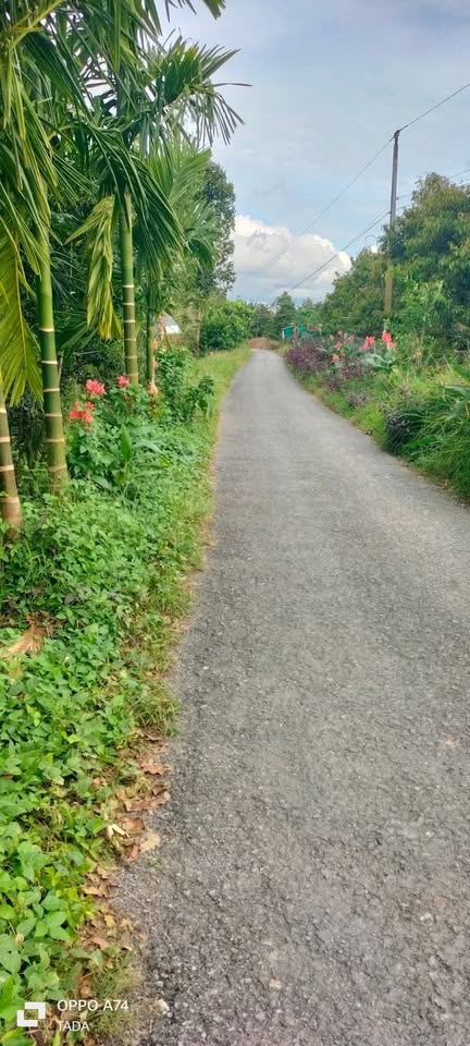 Đất Vĩnh Long 320 triệu sở hữu ngay 130m2 thổ cư 100%, đường rộng 5 tấn