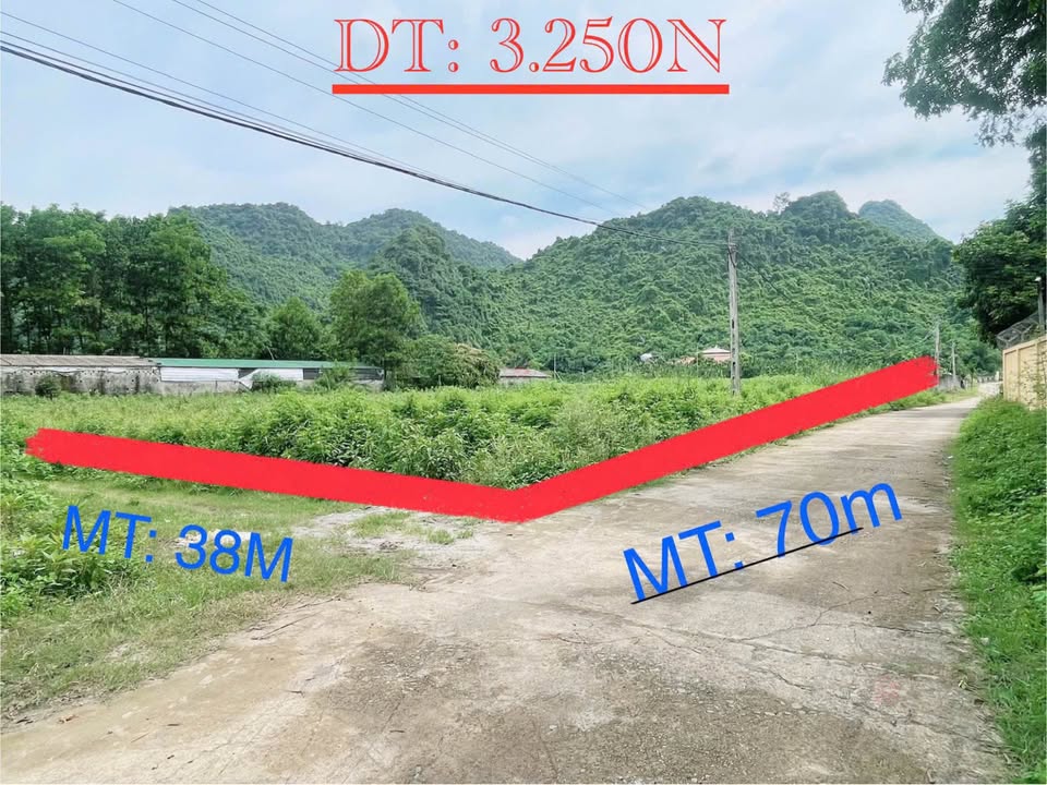 Đất phân lô Phú Thành, Lạc Thủy - Vị trí đắc địa, tiềm năng sinh lời