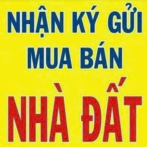 Nhà mặt tiền Bắc Sơn, Vũng Tàu kinh doanh ổn định, 292,9m2 sẵn sàng chờ chủ mới