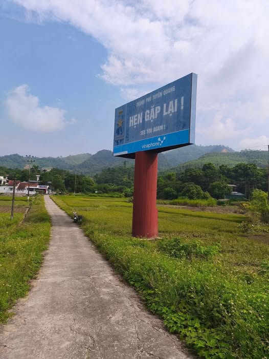 Đất Nông Tiến, Tuyên Quang, iện tích 120m², giá chỉ vài trăm triệu, cơ hội đầu tư không thể bỏ lỡ