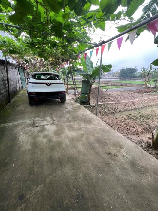 Đất vàng Vĩnh Lộc 68m2, mặt tiền 4.54m, ô tô vào tận nơi, gần chợ sầm uất