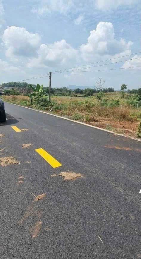 Bán 7 lô đất đường nhựa Phước Long Thọ, Đất Đỏ, Bà Rịa, Vũng Tàu