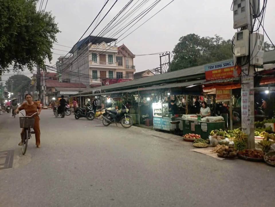 Mảnh đất vàng 40m2 tại Mai Hiên, Đông Anh chỉ hơn 4 tỷ