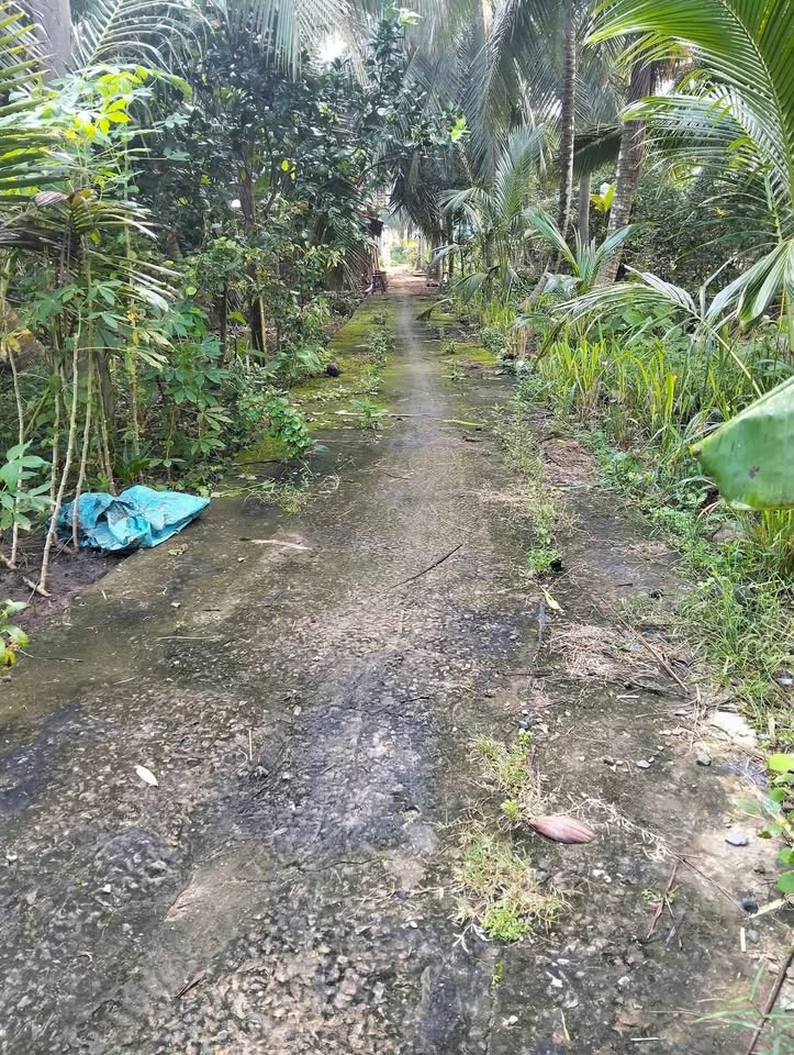 Đất xịn sò 1460m2, giá mềm 900 triệu, chủ kẹt tiền bán gấp