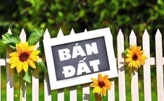 Đất Trảng Dài - Gần Nhà thờ Đại Lộc, đường xe tải tới, giá hạt dẻ