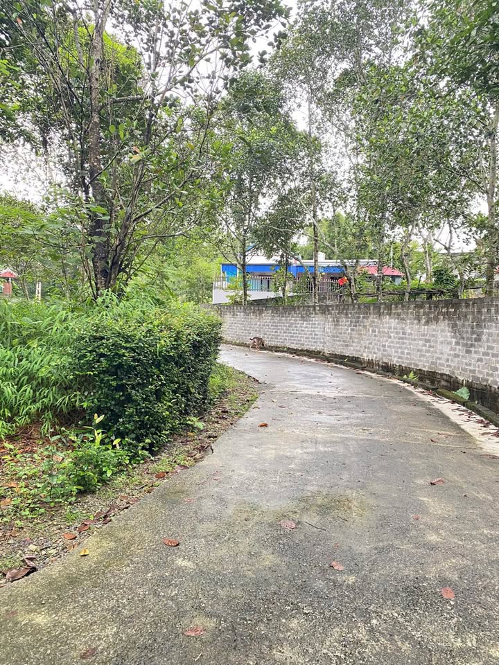 Đất nghỉ dưỡng Lương Sơn, Hòa Bình, giá tốt