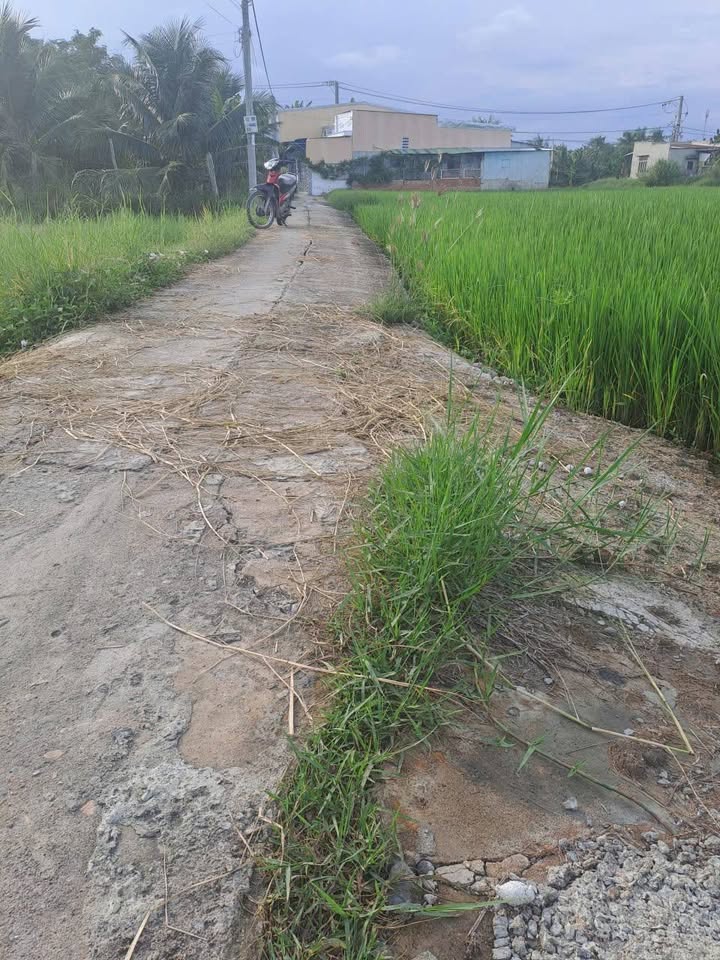 Đất lúa 411m2 sổ sẵn sẵn sàng công chứng nhanh tại Phường Đô Vinh