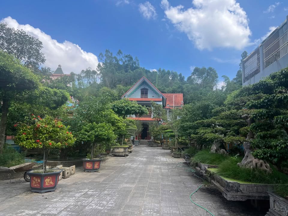 Mảnh đất vàng, hiếm có khó tìm tại trung tâm thành phố Thái Nguyên